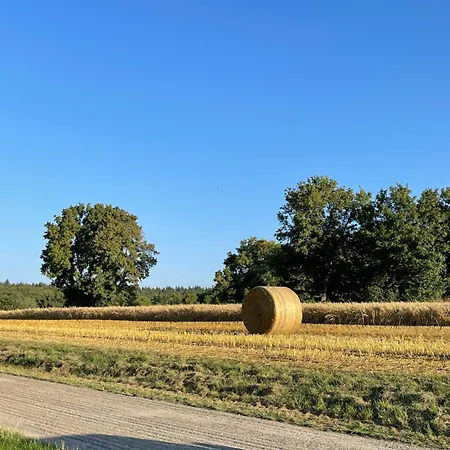 Casa Da Peppe Schoene Auszeit Im Schwarzwald 公寓